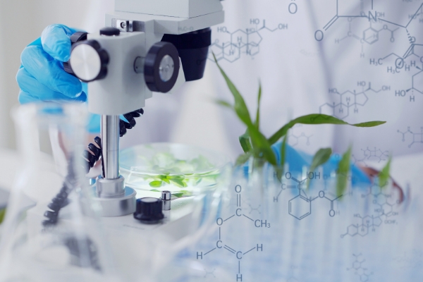 生物学科・生物学専攻